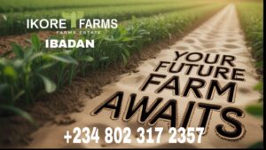 Buy Farm Land in Ibadan Today, Ikore Farms Estate Explained