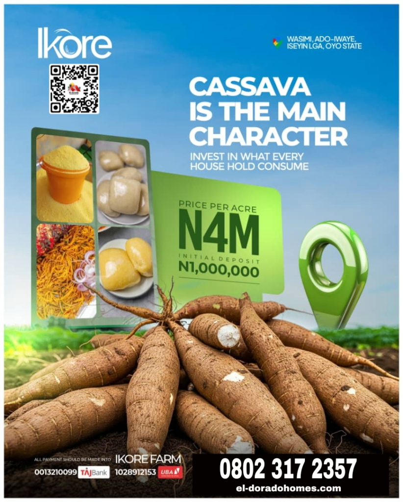 Earn Yearly from Cassava Farming, Ikore Farms Estate Nigeria