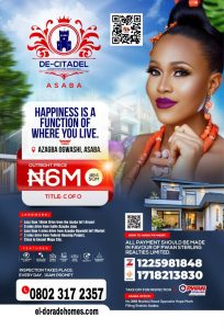 Affordable Land For Sale in Nigeria: De-Citadel Estate, Azagba Ogwashi