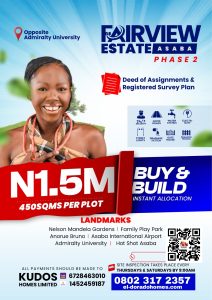 Affordable Land For Sale in Asaba