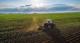 Farm Land For Sale in Nigeria