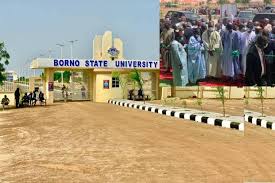 Affordable Land For Sale in Maiduguri, Borno State