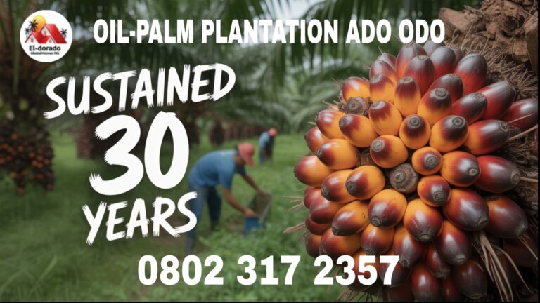 Buy Oil Palm Farm Land in Nigeria, Secure & Profitable Investment Option