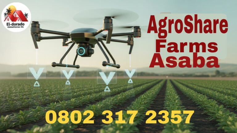 Asaba Farm Land Investment, AgroShare Farms Explained (ROI + Benefits)