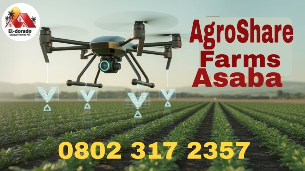 Affordable Farm Land For Sale in Asaba, Secure Your Plot at AgroShare Farms, Olodo & Ewulu