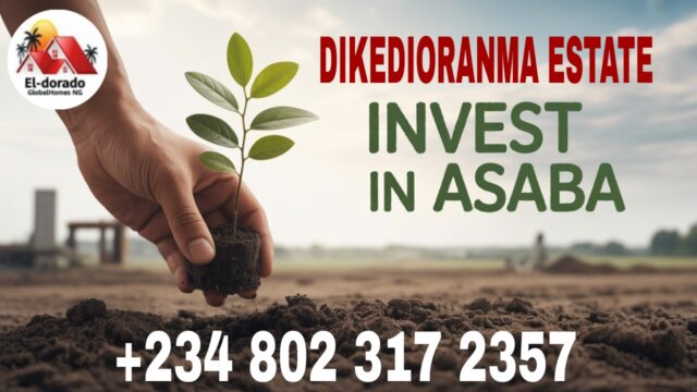 Top Affordable Land for Sale in Asaba, Invest in Dikedioranma Estate, Okpanam