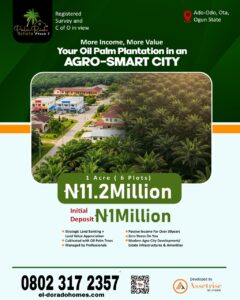 Oil palm farming opportunities in Nigeria – agricultural estate investment