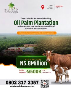 Oil palm farming opportunities in Nigeria – agricultural estate investment